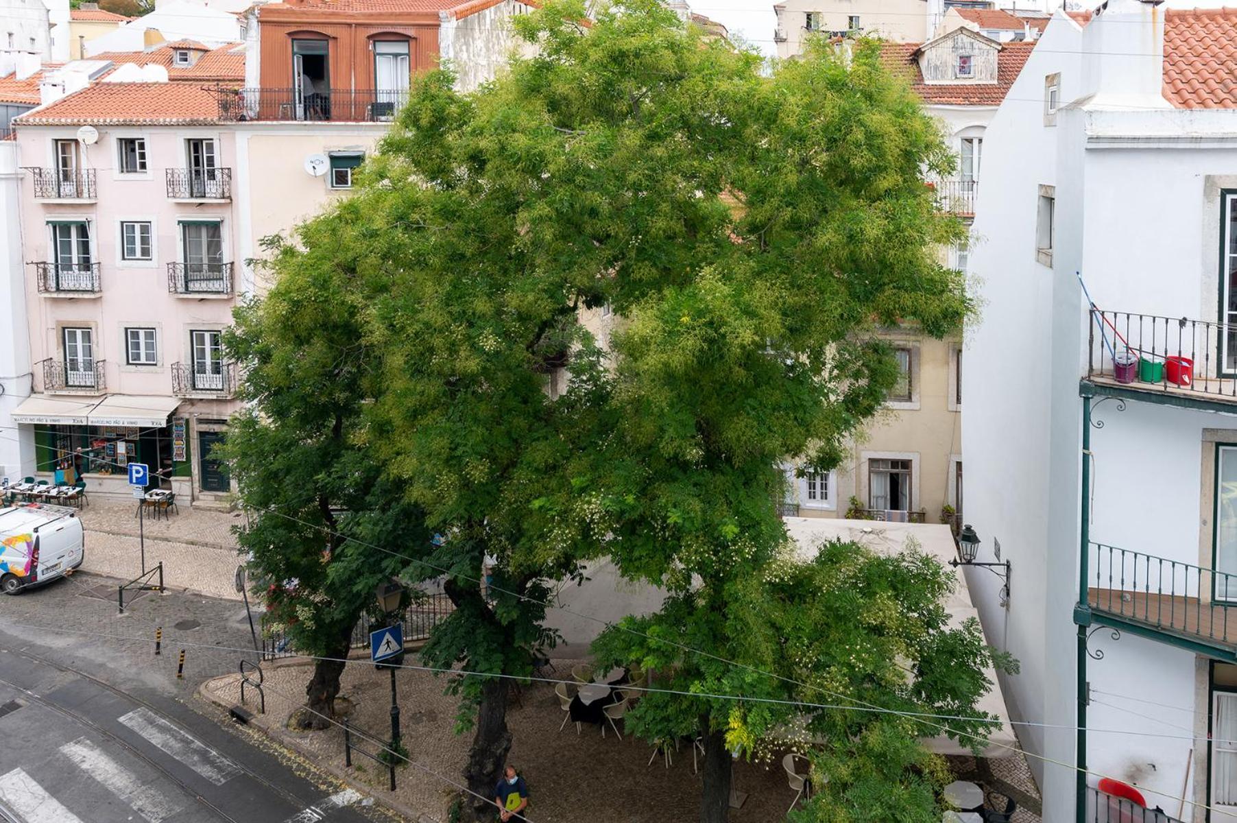 Portas Do Ceu Daire Lisboa Oda fotoğraf